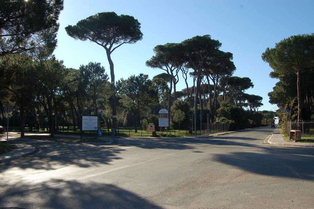 Le Coin Vert Fregenae Quarto foto